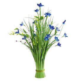Ozdobna trawa z niebieskimi kwiatami 70 cm 1